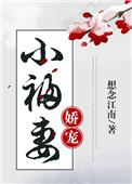 娇宠小福妻全文阅读