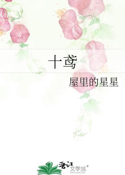 沈月凝程十鸢