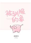 被驯服的象作词