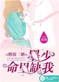 墨少的闪婚蜜爱免费阅读笔趣阁
