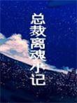 总裁离魂小记txt链接