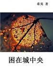困在城中央 好看吗?