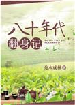 八十年代翻身记免费阅读全文