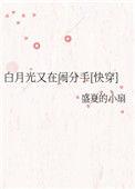 白月光又在闹分手最新