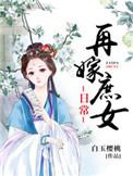 再嫁淑女