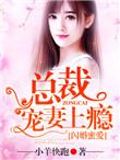 总裁宠妻上瘾