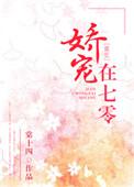 娇宠在七零重生