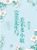 完美先生与差不多小姐剧情