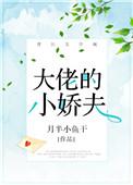 大佬的小娇夫txt资源
