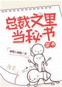 总裁文?