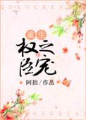 权臣之妻完整版阅读