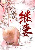 继妻希昀笔说