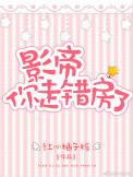 影帝你走错房了全文免费阅读