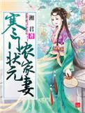 寒门状元农家妻全文阅读