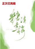 糖渍青梅txt殊娓
