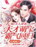夫人带宝宝回来了大结局视频