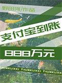 支付宝到账888万元是真的吗