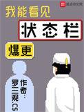 我能看到状态栏