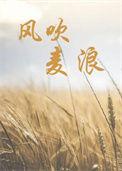 风吹麦浪儿童版
