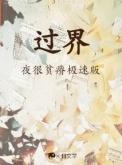 过界 电视剧