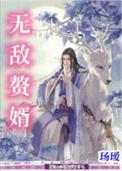 无敌赘婿TXT