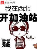 我在西北开加油站免费阅读笔