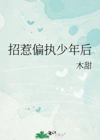 招惹偏执少年后番外最新章节更新