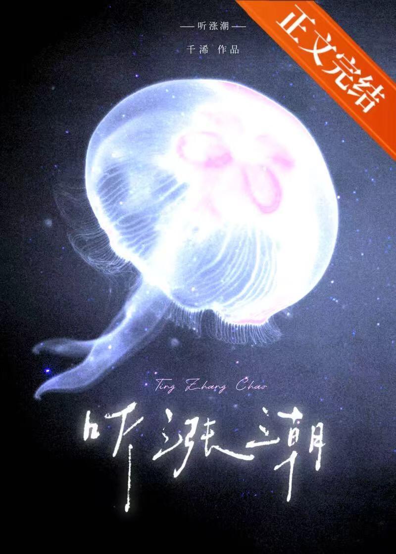 听涨潮的流水声的感受是什么