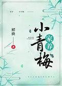 家养小青梅txt宝书网