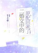 二婚全文