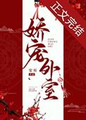 娇宠外室守则
