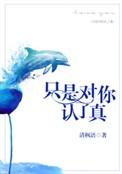 只是对你认了真by清枫语讲的什么