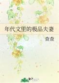 年代文里的极品夫妻什么时候完结