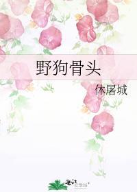 野狗骨头讲的什么