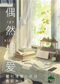 偶然相爱未删减