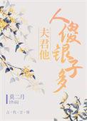 夫君他人傻银子多TXT
