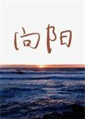 向阳而生手抄报内容