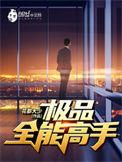 极品全能高手全文