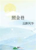 照金巷全文txt百度