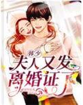 韩少别哭夫人她有三个大佬哥哥