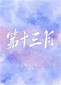 第十三月工资什么时候发