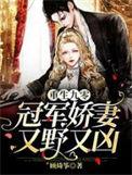 重生90之军长娇俏妻