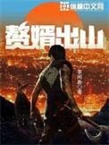 赘婿出山惊京华全集
