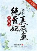 清穿之纯悫皇贵妃公子