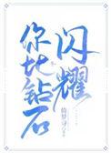 你比钻石闪耀全文