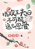 摄政王的 婚姻