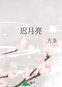 迟月亮 方茶