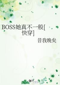 boss他又来了免费