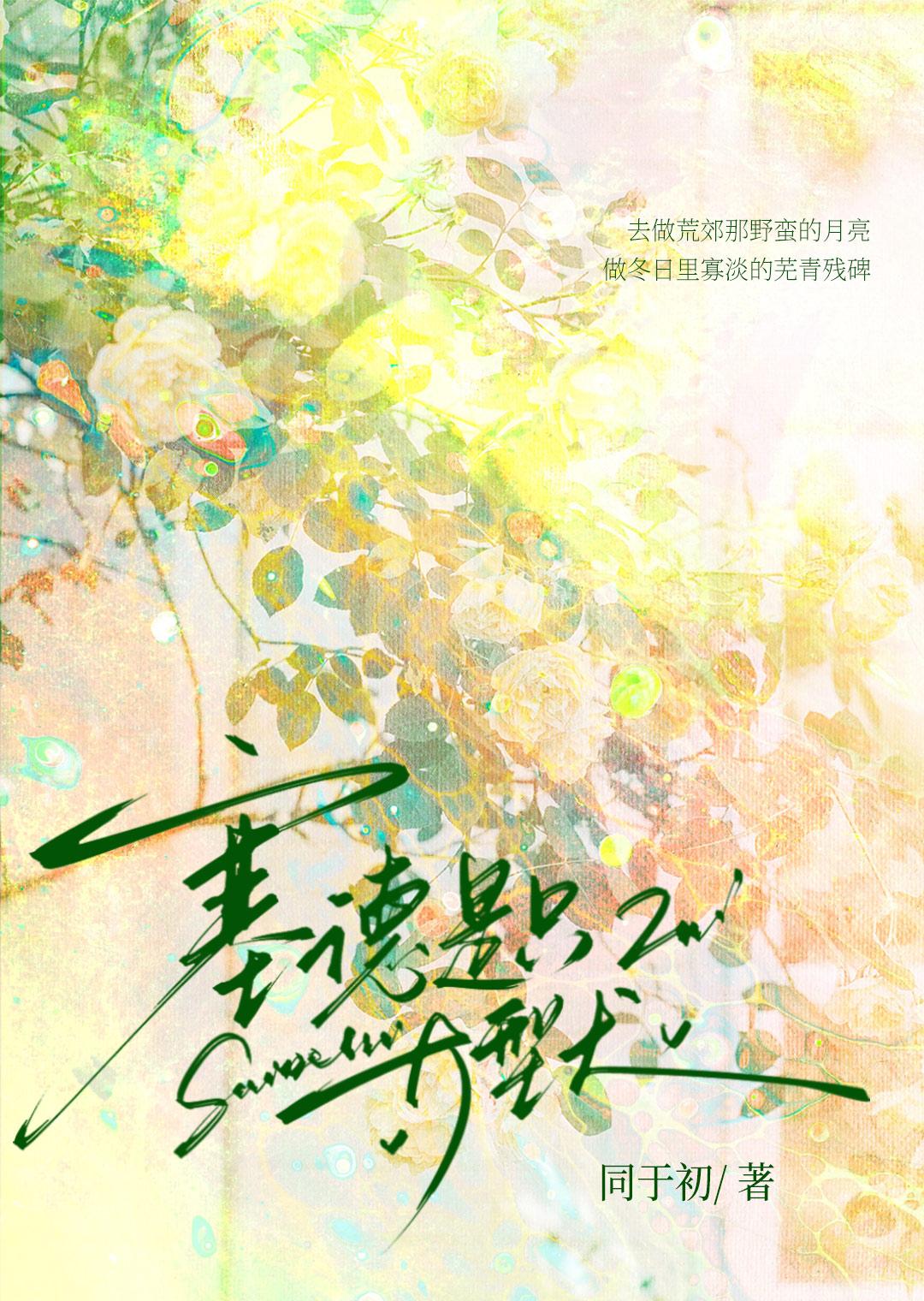hp塞德里克晋江