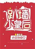 皇上爬墙